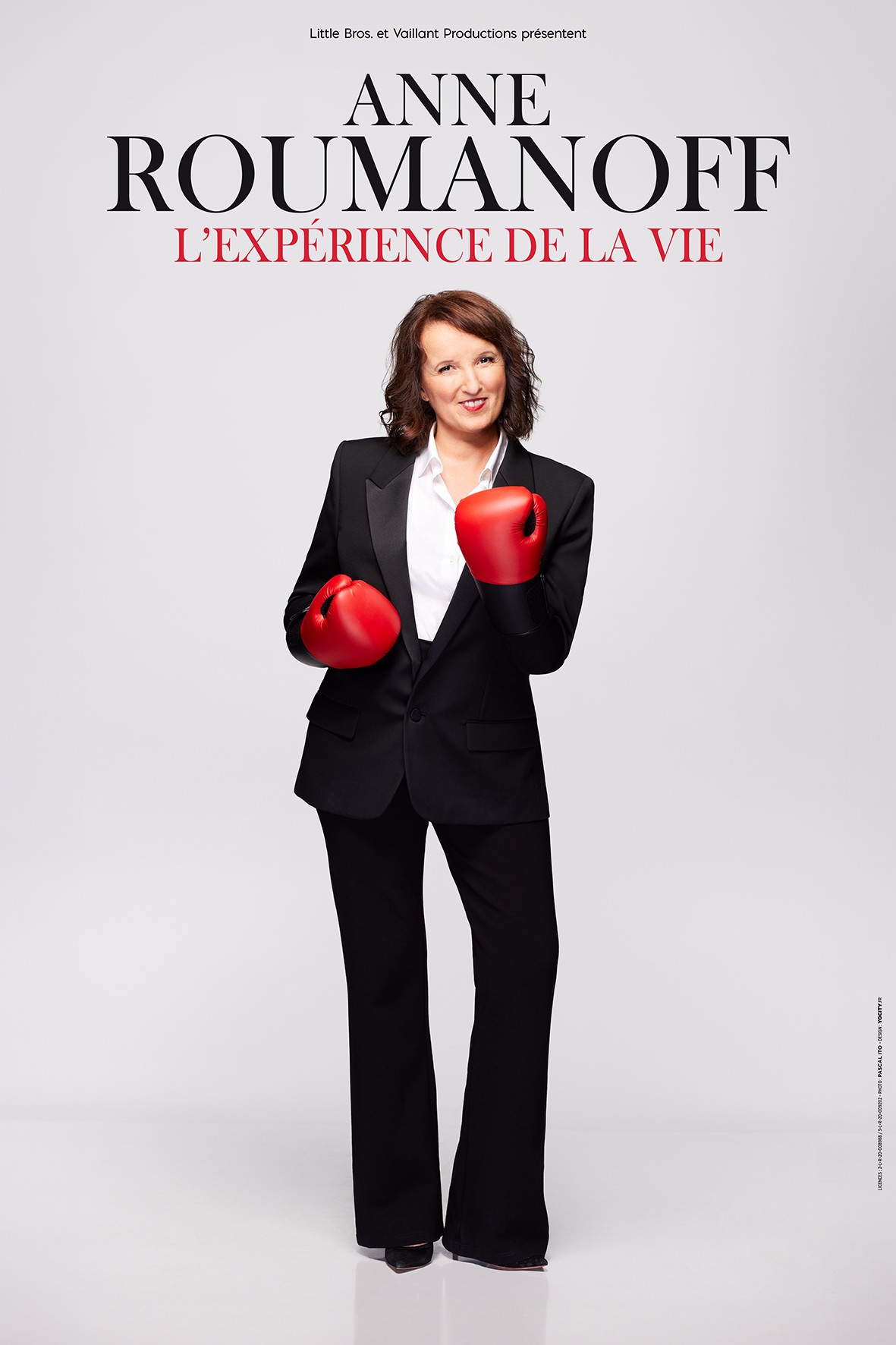 AnneRoumanoff_ExperienceDeLaVie_Tournee_Affiche