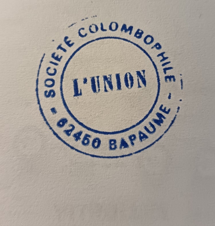 IMG 20250519 150801 edit 710096289606478 1